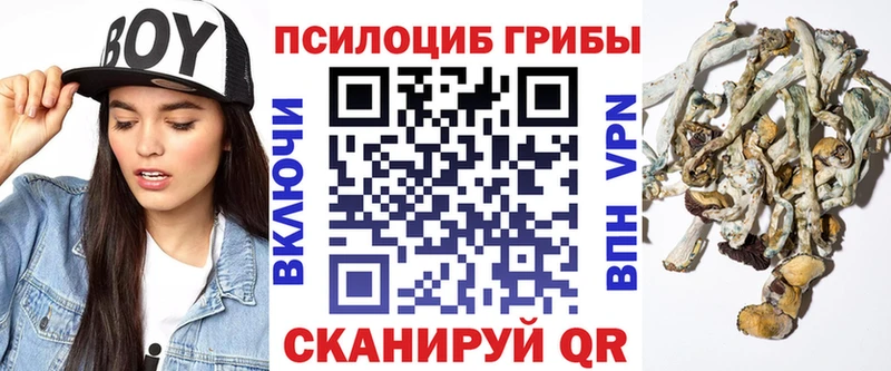 hydra ТОР  Тотьма  сайты даркнета клад  Псилоцибиновые грибы Psilocybe 